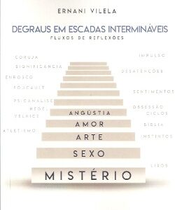 Degraus em escadas intermináveis: fluxos de reflexões