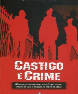 Castigo e Crime: adolescentes criminalizados e suas interações com as condutas de risco, a educação e o sistema de justiça