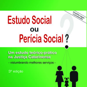 Estudo social ou perícia social? Um estudo teórico prático na justiça catarinense